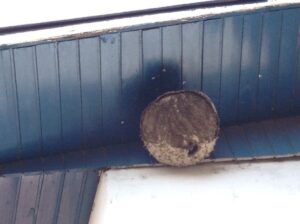 Vespas 'ajudam' polícia a prender fugitivo na Alemanha