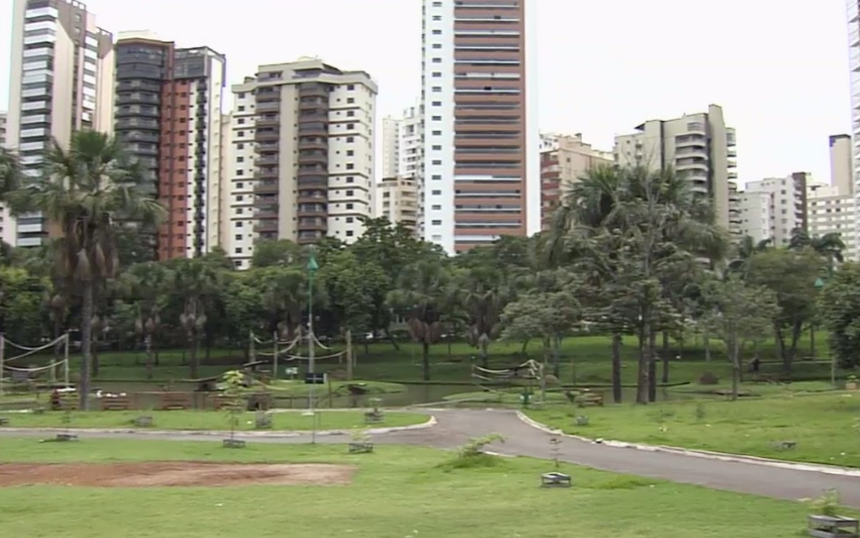 Visitas ao Zoo de Goiânia caem após morte de macaco com febre amarela