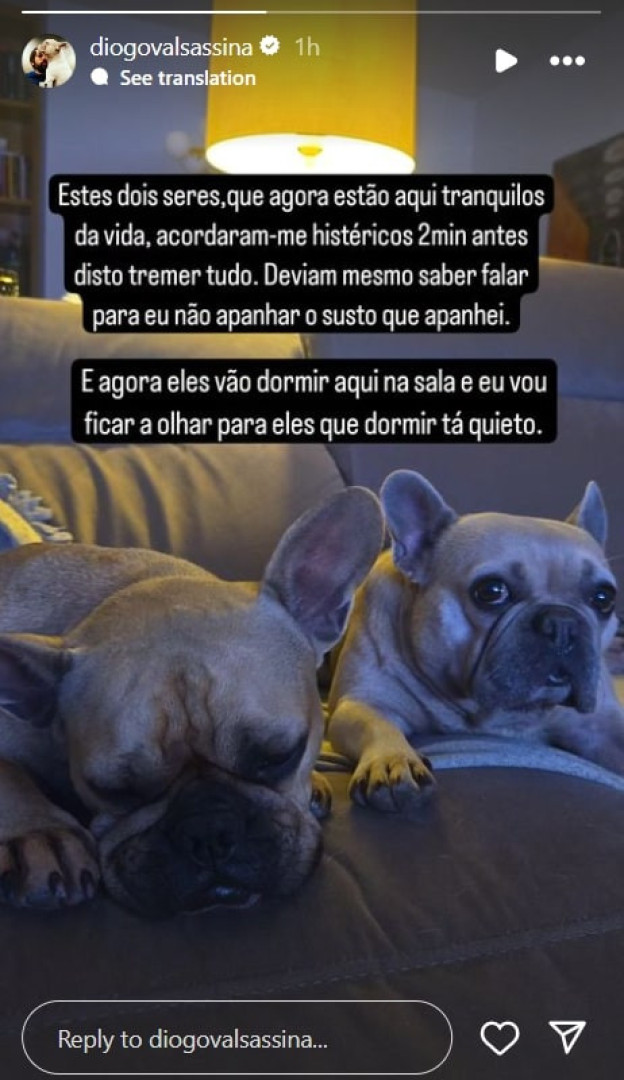 Diogo Valsassina sobre cães: “Acordaram-me 2 minutos antes de tremer”