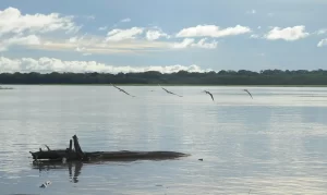 Auxílio Extraordinário: mais pescadores artesanais da Região Norte terão direito ao benefício