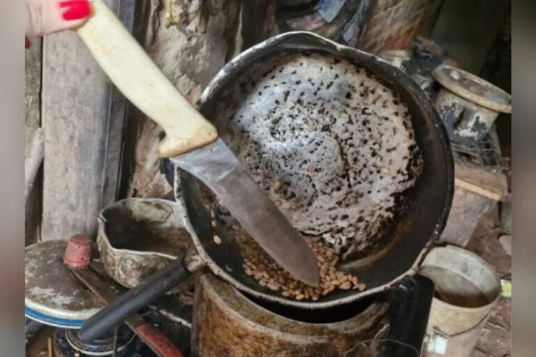 Idoso é encontrado de casa cheia de lixo, com ratos e animais peçonhentos em Aparecida