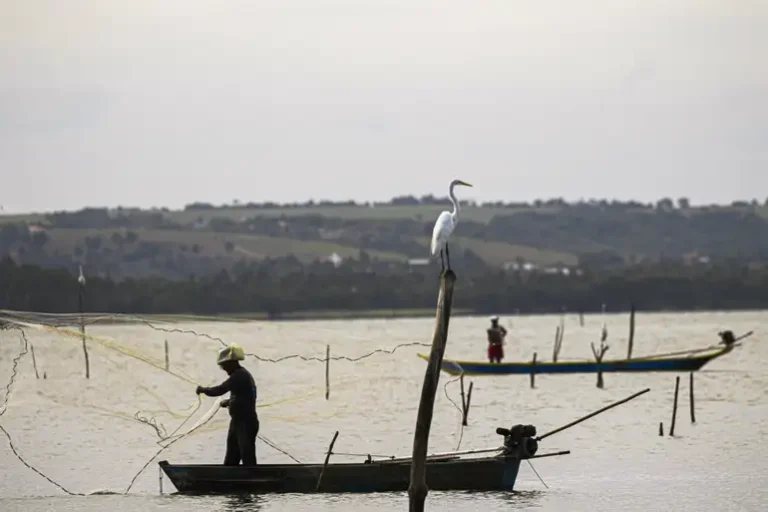 Período de defeso na Bacia Hidrográfica do Rio São Francisco termina em 28 de fevereiro