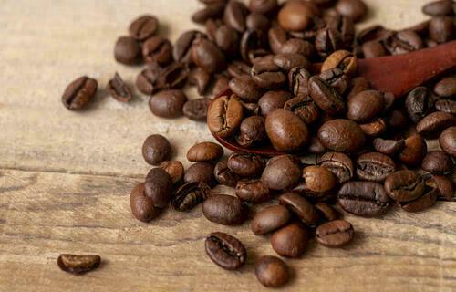 Preço do café arábica volta a cair nesta segunda-feira (3), após quatro altas seguidas