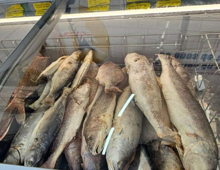 Com início  da quaresma, peixarias de Goiânia registram alta  movimentação