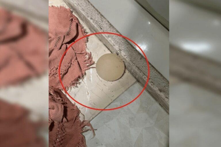 Mulher tem silicone arrancado com faca de cozinha pelo marido no Distrito Federal