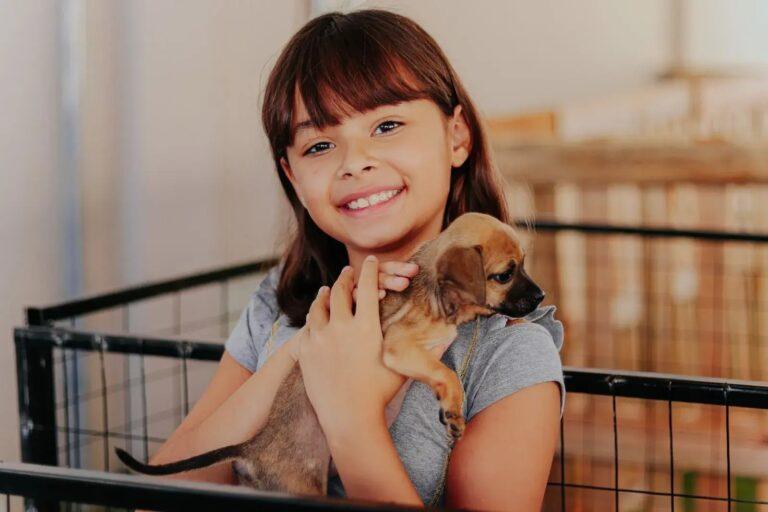 Prefeitura  de Senador Canedo  lança portal para adoção de animais e serviços do  Bem-Estar  Animal