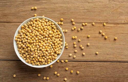 Após alta no preço, saca da soja é ser negociada a R$ 127 no interior do Paraná, nesta quarta-feira (21)