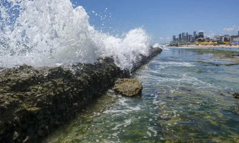 Câmara aprova Lei do Mar com foco em uso sustentável e combate à pesca ilegal