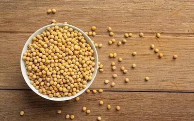 Preço da soja apresenta recuo nesta quinta-feira (12), no interior do Paraná