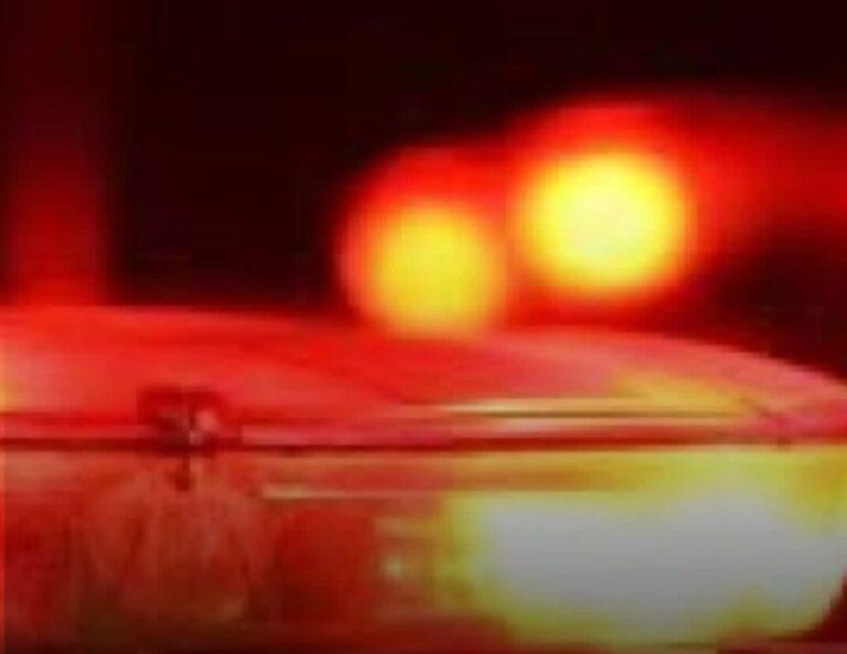 Homem denucia esposa após ser chamado de “Bichona Incubada”