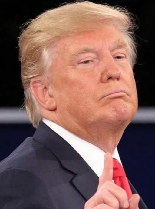 Donald  Trump anunciou a  imposição de  uma tarifa de 50% sobre  todas as exportações do Brasil  para o mercado  Americano