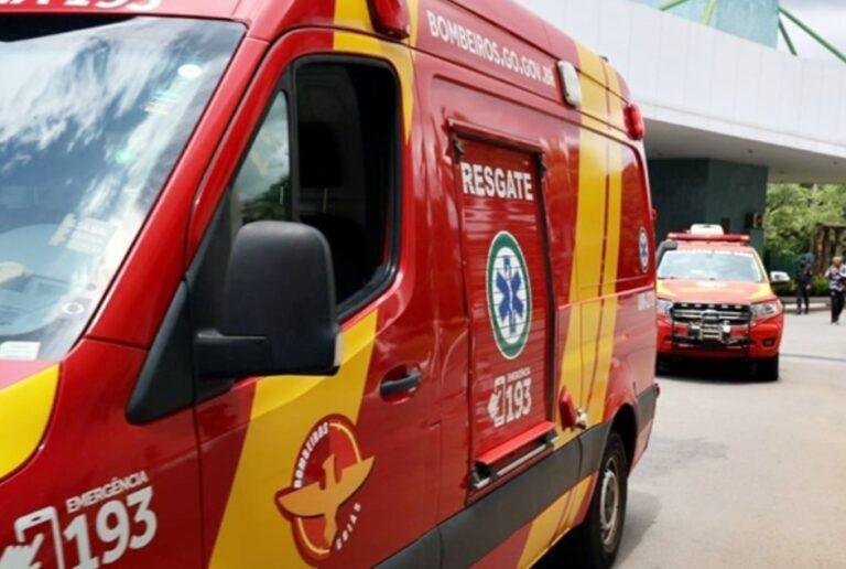 Homem morre após ataque de abelhas no Setor Nova Suiça em Goiânia
