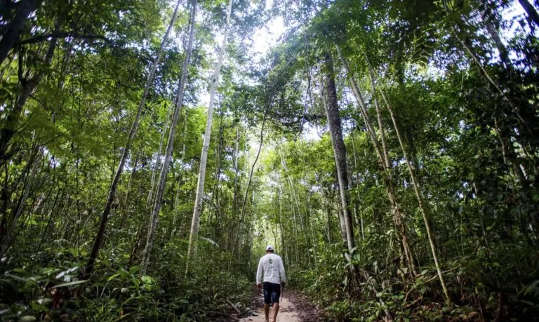 Brasil pode faturar até US$ 140 bilhões por ano com bioeconomia até 2032