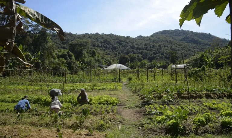 Câmara aprova prorrogação do prazo para exigência de georreferenciamento de imóveis rurais até 2030