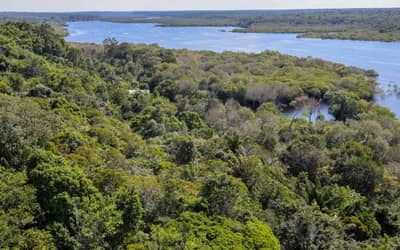 Licenciamento Ambiental: entidades veem derrubada de vetos como avanço para o desenvolvimento sustentável