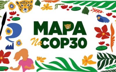 Mapa lidera agenda do agro sustentável na COP 30