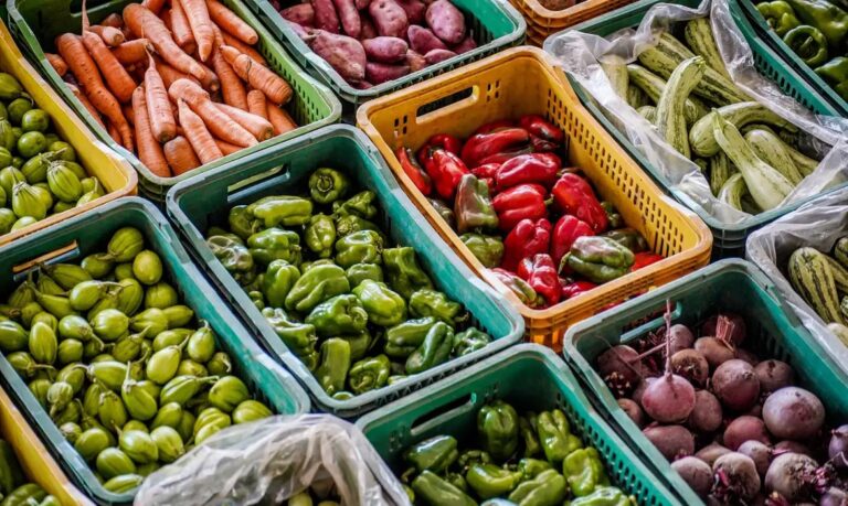 Metade dos brasileiros ainda desconhece o que são sistemas alimentares sustentáveis, mostra pesquisa