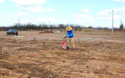 Começa cultivo em vila produtiva rural na região da transposição do Rio São Francisco