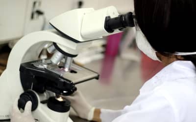 Doação de Órgãos: Prova Cruzada Virtual agiliza transplantes e reduz risco de rejeição