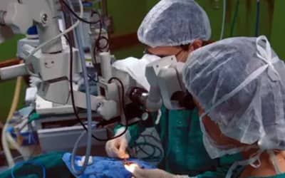 Doação de órgãos: como funciona o processo de transplante e a lista de espera no Brasil