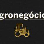 Altas temperaturas e chuvas escassas e irregulares prejudicam lavouras em MS