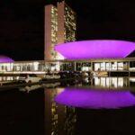 Após semana intensa, Congresso deve focar na garantia de direitos femininos