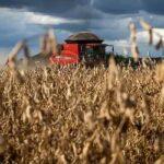 Inmet prevê trimestre de transição climática com risco de estresse hídrico para a segunda safra