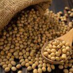 Soja e trigo hoje: confira as cotações para esta quinta-feira (12)