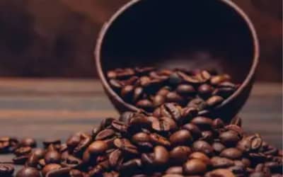 Café hoje: confira as cotações para esta terça-feira (28)