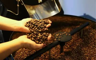 Café hoje: confira cotações para esta quarta (20)