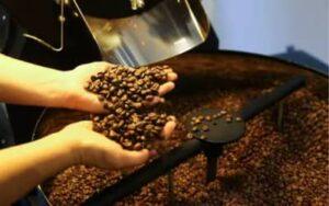 Café hoje: confira cotações para esta quinta (21)
