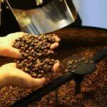 Café hoje: confira cotações para esta sexta (22)