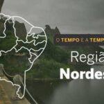 O TEMPO E A TEMPERATURA: fortes chuvas continuam no Nordeste neste domingo (17)