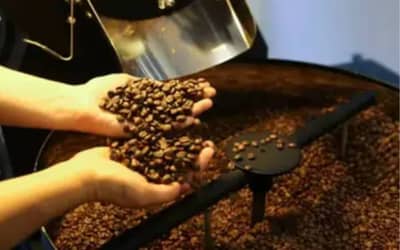Café hoje: confira cotações para esta terça-feira (9)
