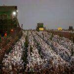 Câmara aprova reforma da política agrícola para revitalizar Seguro Rural