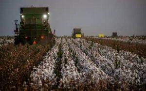 Câmara aprova reforma da política agrícola para revitalizar Seguro Rural