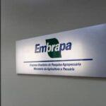 Embrapa inaugura escritório em São Paulo (SP) e firma parceria com Grupo Carrefour Brasil