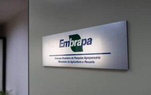 Embrapa inaugura escritório em São Paulo (SP) e firma parceria com Grupo Carrefour Brasil